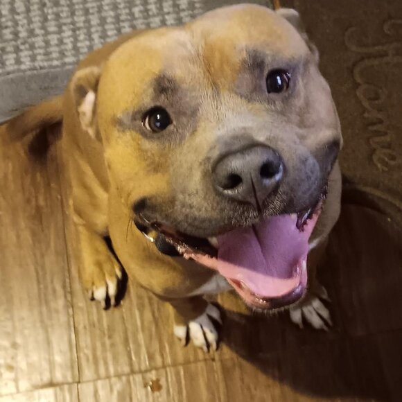 BigToastMalone - Picture 4 of 5